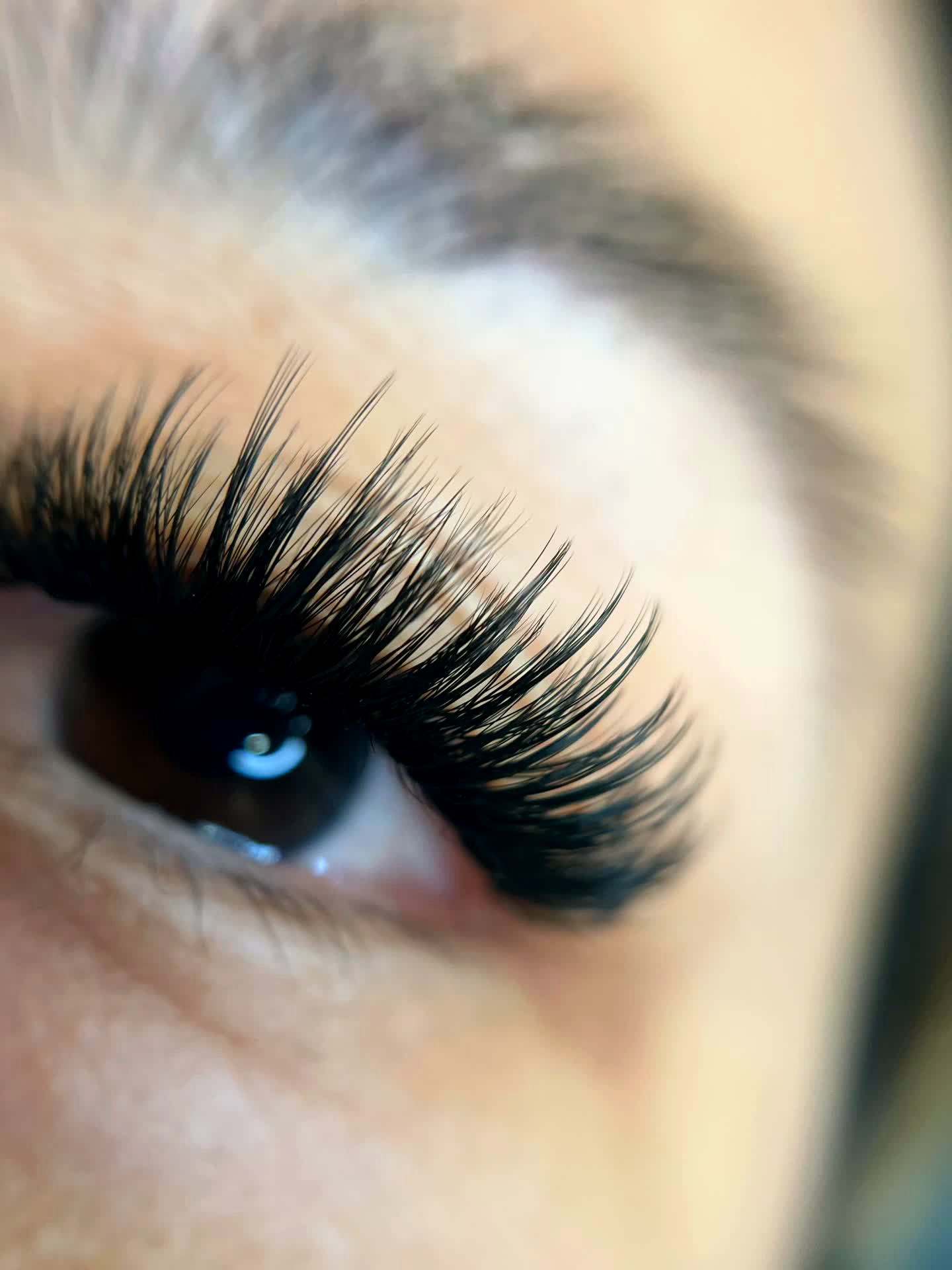Volume lash extensions